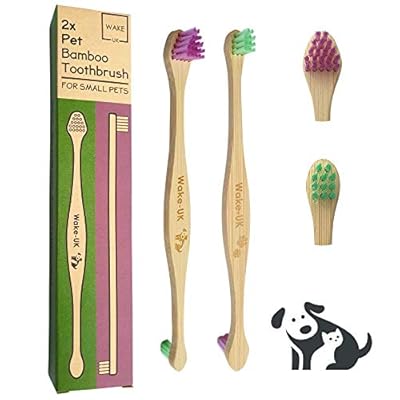 Pet Toothbrush for Dogs Cats & Small Pets, Pack of 2 Double Head Bamboo, Soft Teeth Cleaning Products, Organic Dental Care, Remove Plaque Off, Dog Breath Freshener, Eco Friendly Bamboo Dog Toothbrush