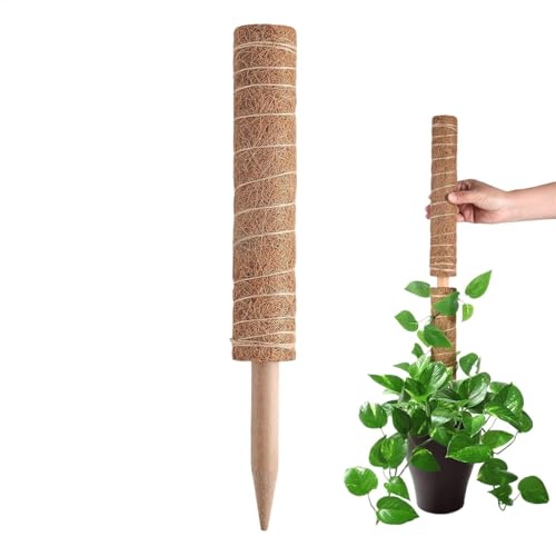 Bastone di muschio al cocco – di supporto per piante, di cocco espandibile | Strumento per piante in griglia, supporto duraturo e crescita per Monstera, Pothos e Filode