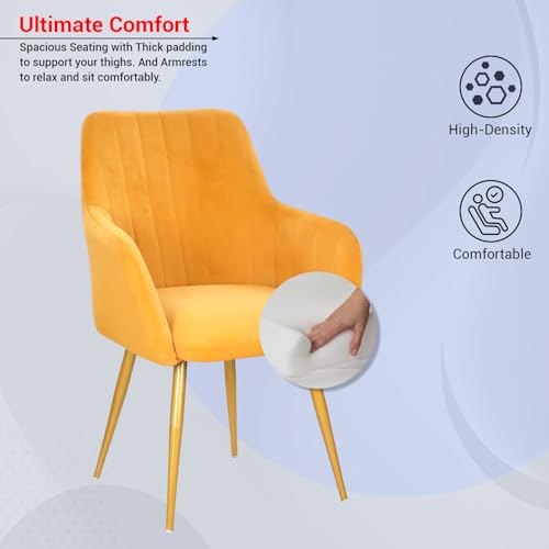 Image of Taboo Velvet Dining Chair Set of 6 | Upholstered Accent Arm Chairs | Soft Cushioned Seat with Backrest | Modern Velvet Fabric Chairs with Metal Legs | Living Room, Bedroom, Cafe & Restaurant | Yellow