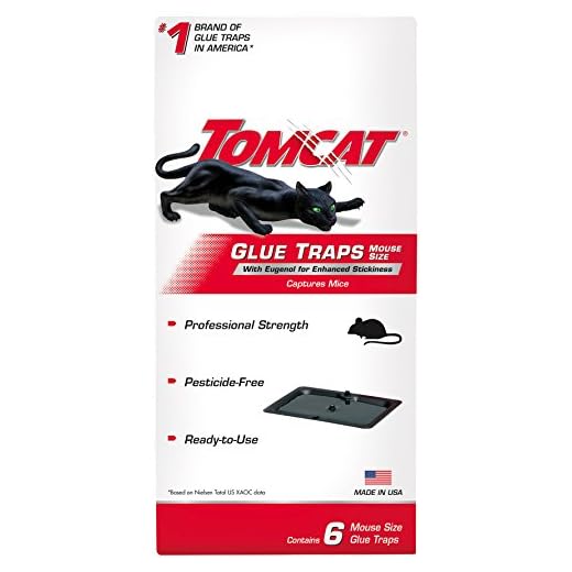 Tomcat Glue Traps Mouse Size with Eugenol for Enhanced Stickiness for Mice, Cockroaches, and Spiders, 6 Traps