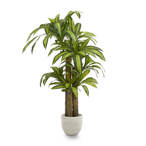 Maia Shop - Drácena Artificial 150 cm | Planta Artificial Decorativa Hiperrealista | Árbol Tropical para Decoración de Hogar y Oficina | Planta Artificial con Maceta para Interior y Exterior Cubierto