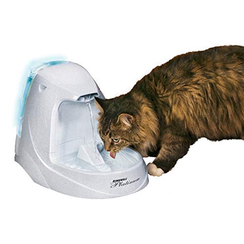 Top 10 Best Automatic Motion Sensor Cat Water Fountains Catvills