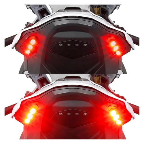 Luz trasera Tipo 3 brillante BMW S1000RR 2020-2022 4
