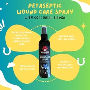 Wound Care Spray | Promotes Healing to Minor Cuts Scrapes Burns and Other Skin Issues | Clear Stainless  Greaseless | 4oz Spray Bottle  Cucciolini Doodles Wound care spray | promotes healing to minor cuts scrapes burns and other skin issues | clear stainless  greaseless | 4oz spray bottle   cucciolini doodles