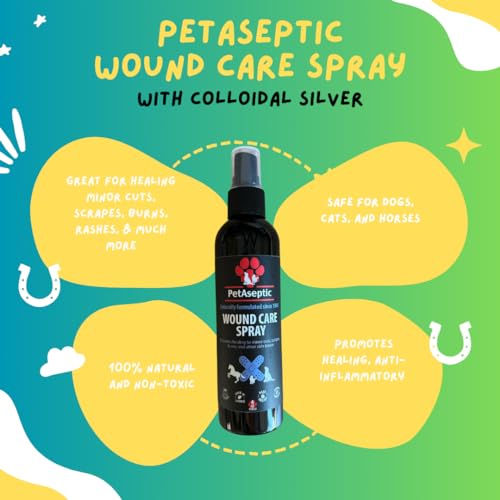 Wound Care Spray | Promotes Healing to Minor Cuts Scrapes Burns and Other Skin Issues | Clear Stainless  Greaseless | 4oz Spray Bottle  Cucciolini Doodles Wound care spray | promotes healing to minor cuts scrapes burns and other skin issues | clear stainless  greaseless | 4oz spray bottle   cucciolini doodles