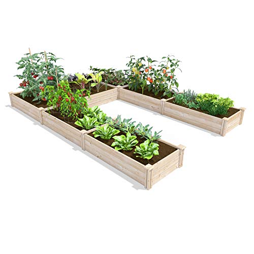 Greenes Fence Original Pine Raised Garden Bed, 8' X 12' X 10.5" U-Shaped Bed - Made In Usa With American Pine #TOP4