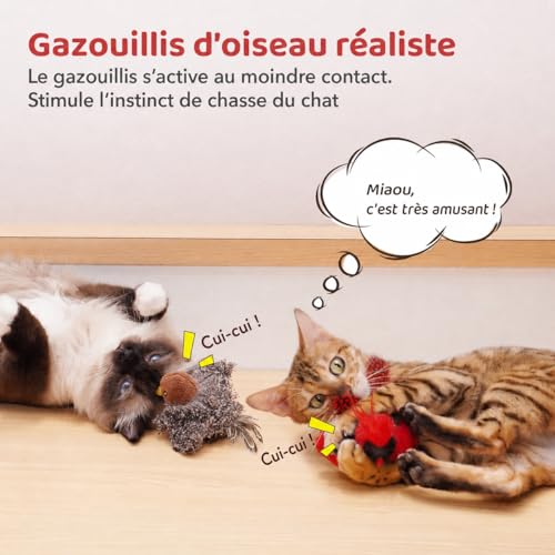 Jouet interactif pour chat avec SilverVine herbe à chat et sons d'oiseaux d'intérieur