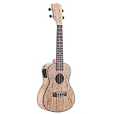 Kann den Sound verstärken und an den Computer / Lautsprecher anschließen.