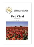Gärtner's erste Wahl! bobby-seeds.com