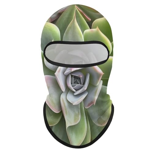 Balaclava botánico para suculentas, máscara facial para hombre y mujer con protección solar, transpirable, cubre toda la cabeza para senderismo, ciclismo, correr y conducir miniatura 7