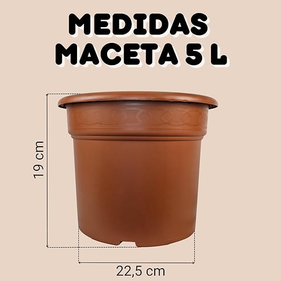GROWMANIA Blumentopf 5L Braun – Kunststoff, Mit Drainage, Für Innen & Außen