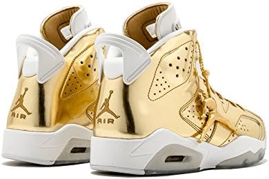 Amazon.com: Air Jordan 6 Retro P1NNACLE - 854271 730 : Ropa, Zapatos y  Joyería