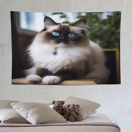 Tapisserie murale chat pour creer une ambiance esthetique et cocooning dans votre chambre