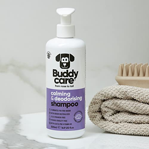 Beruhigendes & desodorierendes Shampoo von Buddycare - Lavendelduftendes Hundeshampoo - Mit Aloe Vera und Pro-Vitamin B5 (500ml)