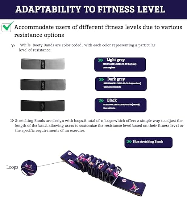 2024 First Ever Calorie Counting Ab Roller High-Performance Abdominal Exercise Machine with Automatic Rebound, Multi-layered Anti-Slip Design & Versatile Exercise Bands