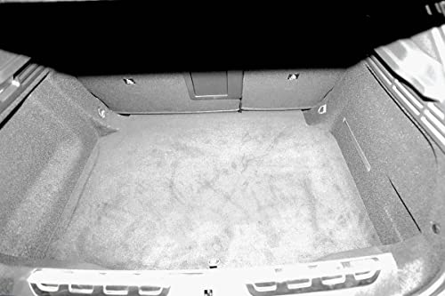 MTM Vasca Baule per DS DS4 2021- Protezione