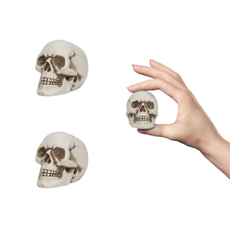 READAEER Resin Skull 2 pcs/Set, Mini Skull Model for Home Decoration, Halloween Skull Statue, Human Skull Head Bone Model for Desktop