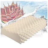 Kissen Aus Naturlatex Modell Doppelwelle - Kopfkissen Latex Gelocht Ultra Atmungsaktiv Erholung Natürlich Und Gesund - Höchster Komfort Ergonomisch,40X60cm(15.7X23.6in)