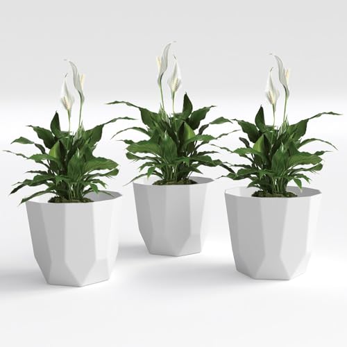 Image of YUCCABE ITALIA SHERA Hexa Plastic Planter Pot for Plants | Decorative Flower Pot | UV Protected Lightweight Indoor Outdoor Gamla for Home Decor, Balcony, Garden & Living Room (White, 10 INCH - 3 Pcs)
