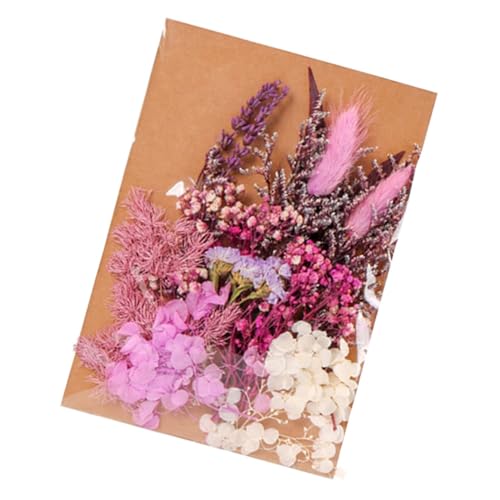 Kit de flores secas para manualidades miniatura 1