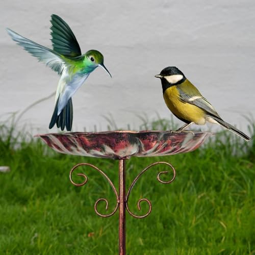 Bain d'oiseaux extérieur avec mangeoire de terrasse en métal ajustable