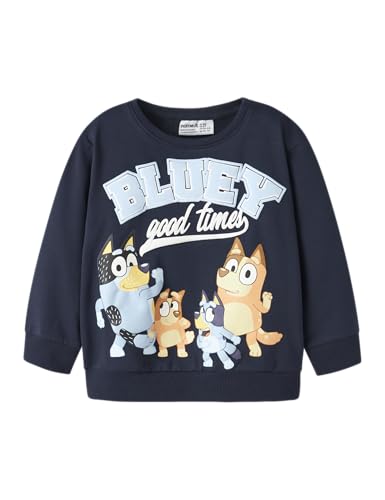 Sweat doux Name IT Nmmjust Bluey Nreg couleur sky pour garçon