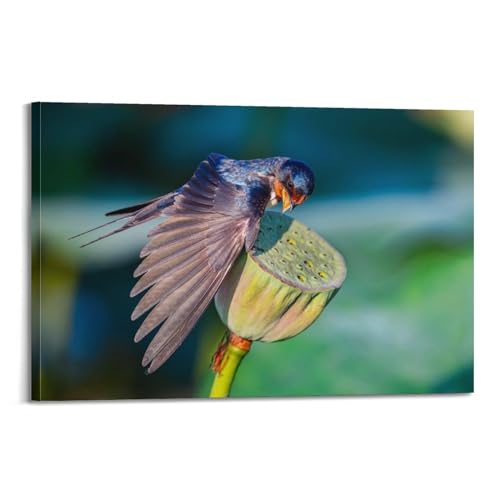 Impression sur toile NIZIEE oisillons tableau nature lotus 50 x 75 cm
