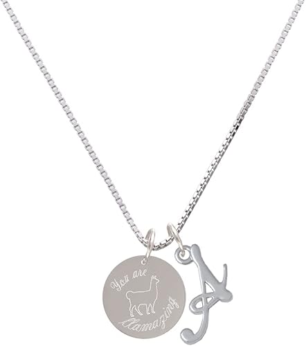 Delight Jewelry Disco de llama de acero inoxidable You are Llamazing - Collar con dije inicial de escritura plateada, 18 pulgadas + 1 pulgada,
