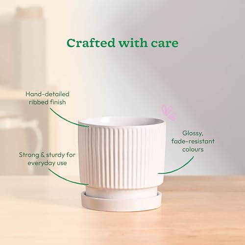 Image of UGAOO Roma Ceramic Pot |Indoor Ceramic Planter for Home, Office, Garden, Balcony - White (5 Inch)