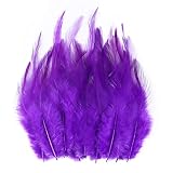Plumas de pollo naturales de 10 a 15 cm, plumas de gallo suaves para costura, carnaval, boda, manualidades, decoración de ropa, 12,100 unidades