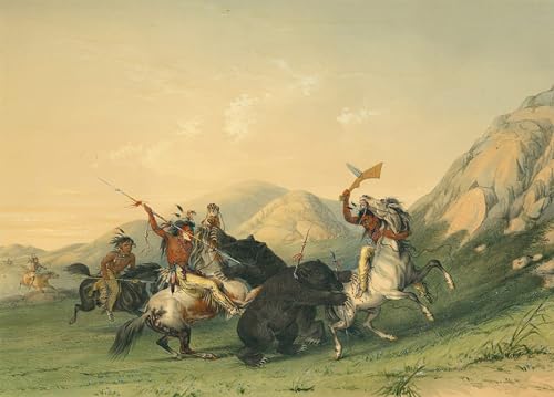 Toile George Catlin L'attaque du grizzli 60x90cm pour habiller un grand mur blanc vide