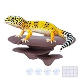 Westant Mushroom Decor for Reptile Tank, Fish Tank, Pet-Safe Bearded Dragon Tank Accessories, Realistic Terrarium Plants for Leopard Geckos, Crested Geckos, Tree Frogs, Snakes (Cocoa, Trio Cap)