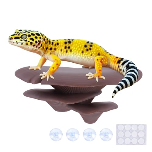 Westant Mushroom Decor for Reptile Tank, Fish Tank, Pet-Safe Bearded Dragon Tank Accessories, Realistic Terrarium Plants for Leopard Geckos, Crested Geckos, Tree Frogs, Snakes (Cocoa, Trio Cap)