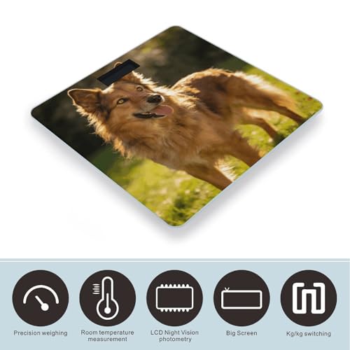 Báscula digital para peso corporal 400 lb con pantalla LCD miniatura 3