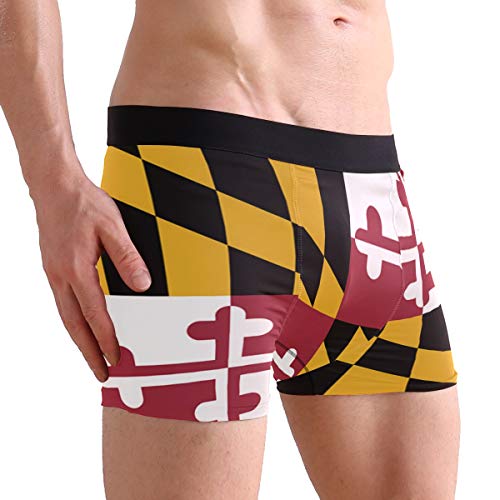 ZZKKO Bee Rooster Dragon Mens Boxer Briefs Underwear Breathable Stretch Boxer Trunk with Pouch S-XXL4