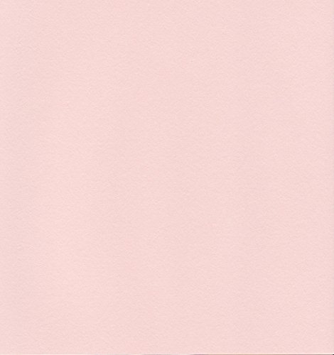 エスケント ケント紙 スターカラー 八切 ライトピンク 100枚 5728008