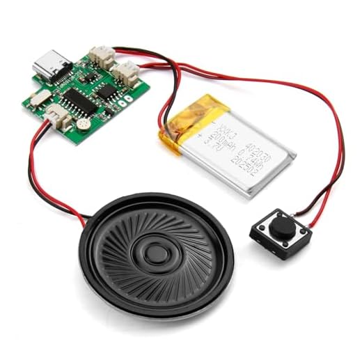 Sound Modul Steuerung über Tasten, 8MB Programmierbar USB Herunterladbar, MP3 Musik Platine mit Lautsprecher für DIY Personalisierte Grußkarten, Kreatives Musikgeschenk