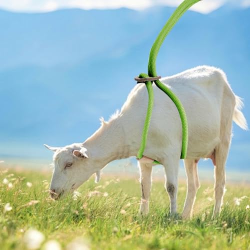Image of Goat Harness for Walking, Goat Supplies Accessories Washable Leash, Livestock Supplies for Sheeps