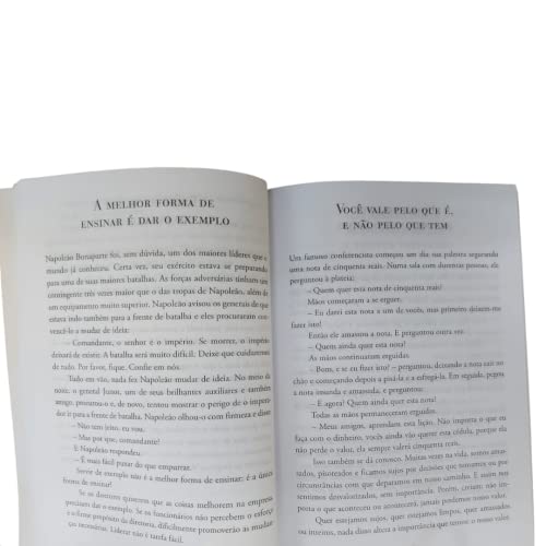O que podemos aprender com os gansos
