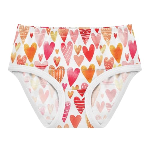 Joisal Fun Toddler Underwear Floral 2t Cotton Cute Panties Girl Cute Hearts Pink Cartoon Briefs Undies Kids