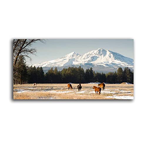 Canvas Wall Art Prints Picture Three Sisters Ranch Horses Livestock Cascade Mountains Oregon United Stretched & Framed Wall Painting Artwork Poster Wall Decor for Living Room Ready to Hang 20"x40"