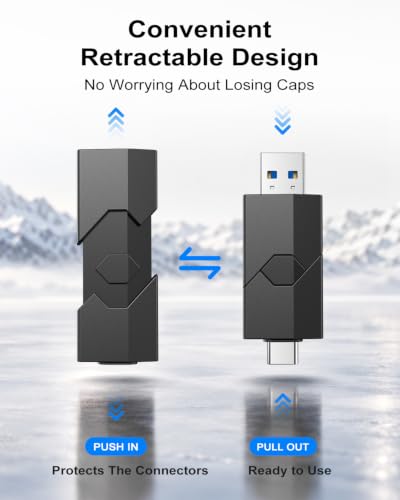 RAOYI 256GB USB C Flash Drive