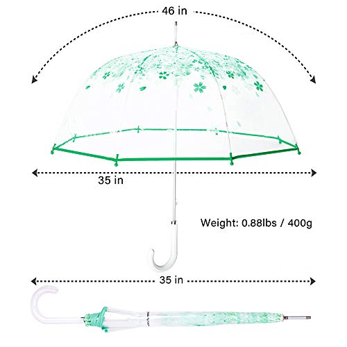 Kung Fu Smith Auto Open Clear Bubble Umbrella For Women And Girls, Green Floral Print Dome Umbrella For Rain, Cherry Blossom #TOP4