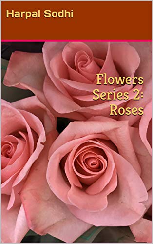 Flowers Series 2: Roses: Bubbly Picture Books (Flowers Series 12, Bubbly picture bookss)