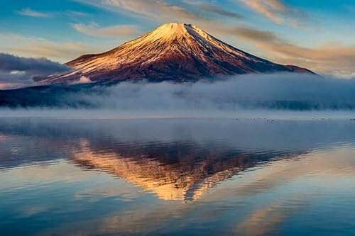 lpWO\[pY1000s[X xmRiap[eB[IȉƒANeBreB