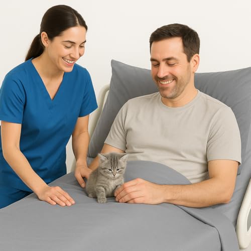 Image of Twin XL Cotton Jersey Sheet Set, Soft & Comfy, Hospital, Light Grey
