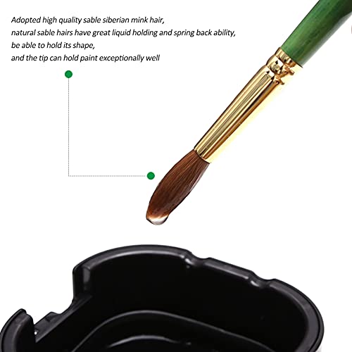 Dainayw DN3DMHB Kolinsky Watercolor Brushes thumb #5