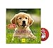 Produktbild GU Welpen-Erziehung: Der 8-Wochen-Hundetraining für Welpen (Taschenbuch) + Hunde Sticker