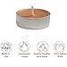 CandleNScent Scented Tea Lights Candles | Cinnamon Spice Fragrance | Made in USA (Pack of 30)