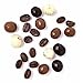 SweetGourmet Chocolate Covered Espresso Beans Blend | White Milk Dark Chocolate | 1 Pound
